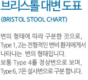 브리스톨 대변 도표 (BRISTOL STOOL CHART)